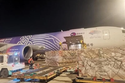 El aeropuerto de Hangzhou lanza una ruta de vuelo exclusivamente de carga Han...